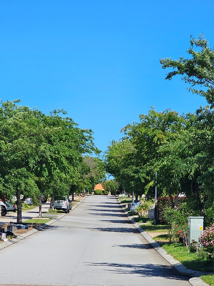 Community photo